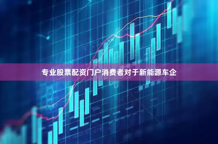 专业股票配资门户消费者对于新能源车企